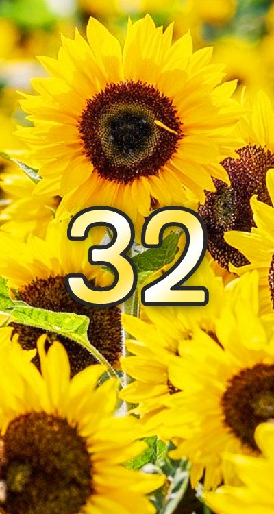 シウマ数字32おしゃれで可愛い待ち受け無料画面に数字を入れる方法！効果口コミもSPI-LOG