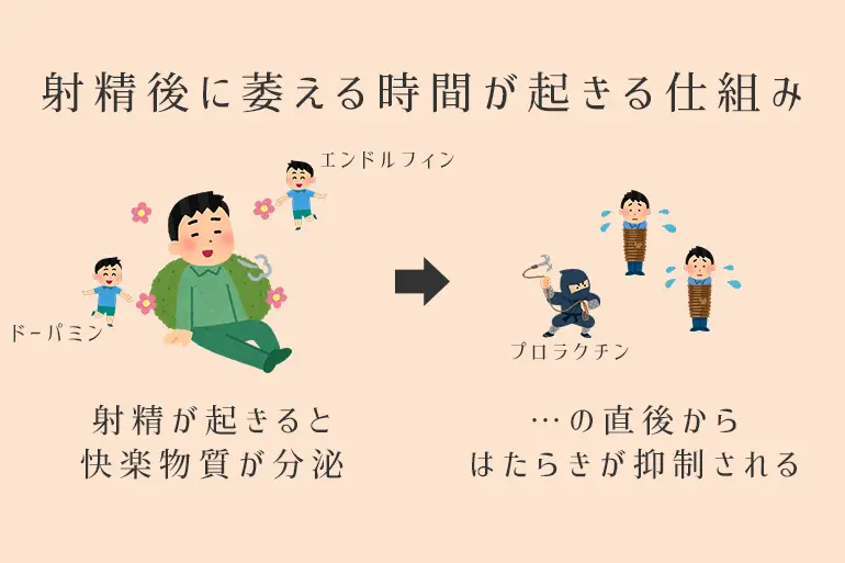 勃起持続力が続かない３つの原因とその解決策とは？