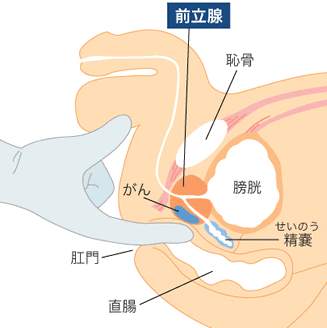 お風呂オナニーのやり方｜家族にバレずにする方法や匂い・詰まり・処理についても解説！｜駅ちか！風俗雑記帳