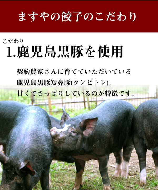 鹿児島県産の黒豚を使用した黒豚専門店。「黒豚しゃぶしゃぶ」や「黒豚とんかつ」「郷土料理」などが食べられ、店内には鹿児島 県内各地の本格焼酎が400本ほどあり、鹿児島の食と焼酎を味わえるお店です。 : image de