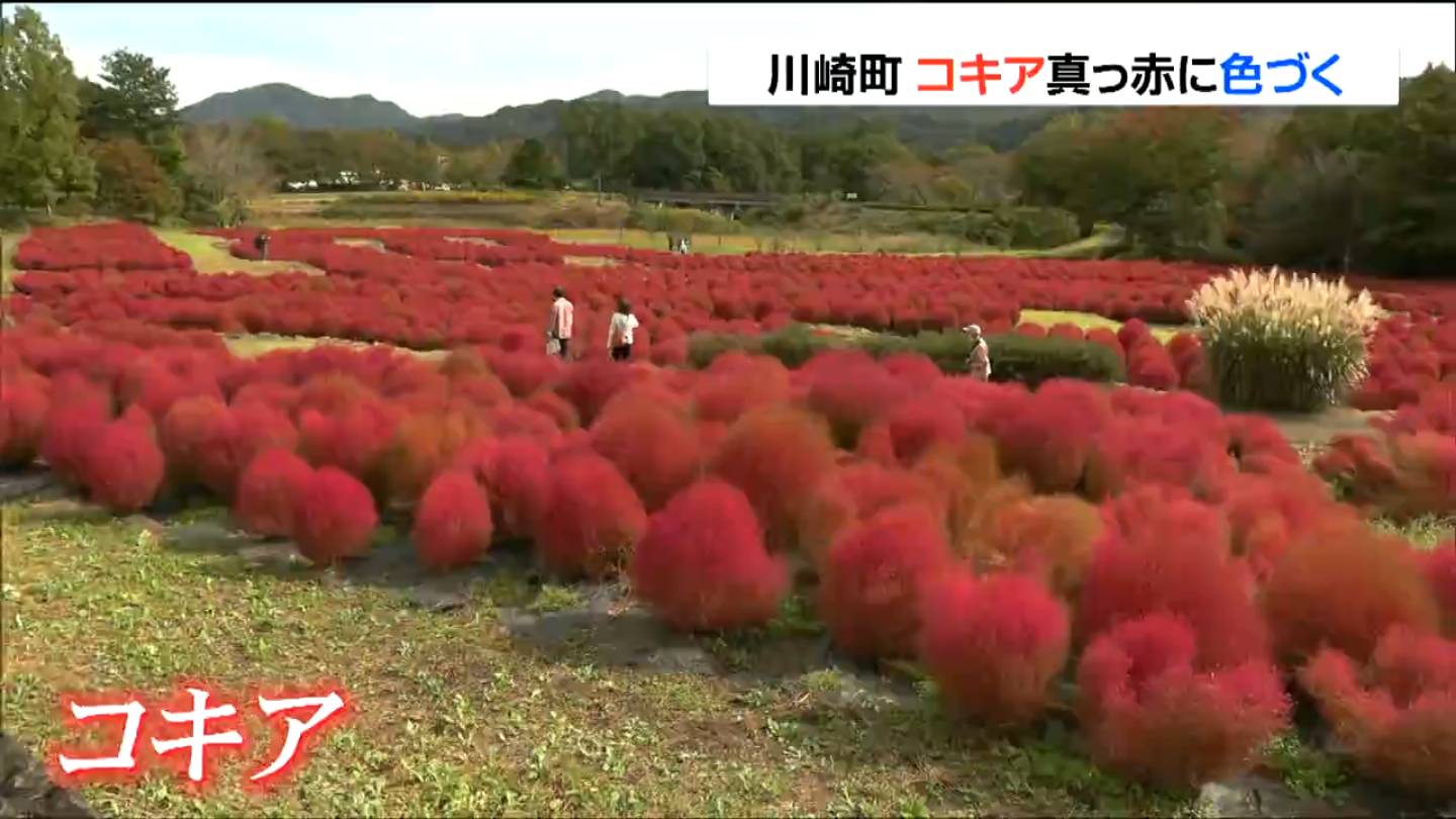 通行止め】山形道（上下）宮城川崎IC～山形蔵王IC 雪のため（22日午後