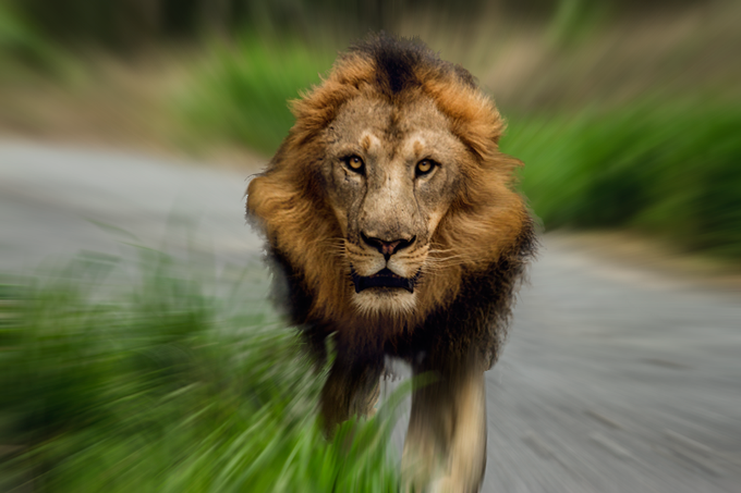 Photoshop 集中線を作る方法・基本のやり方とアレンジ法