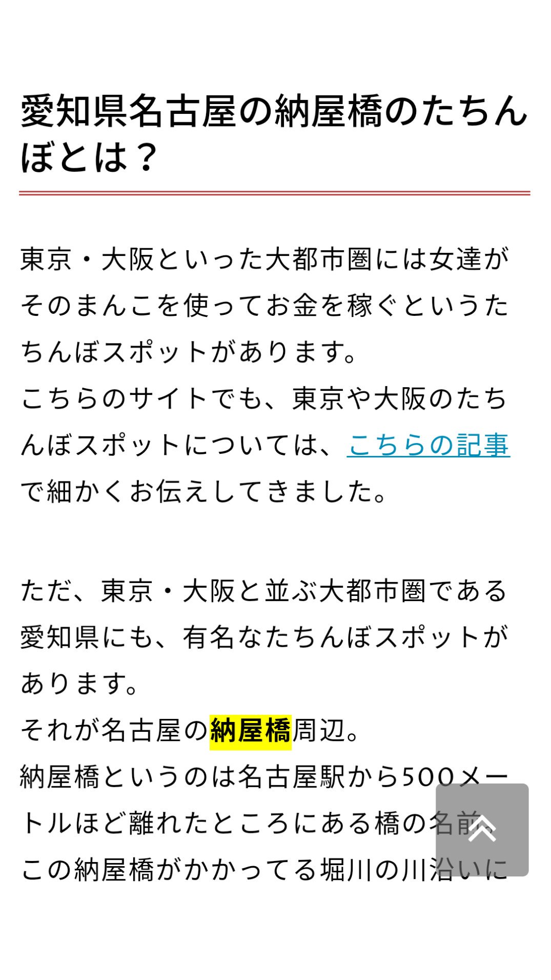 名古屋（納屋橋）の立ちんぼや「ちょんの間」を調査