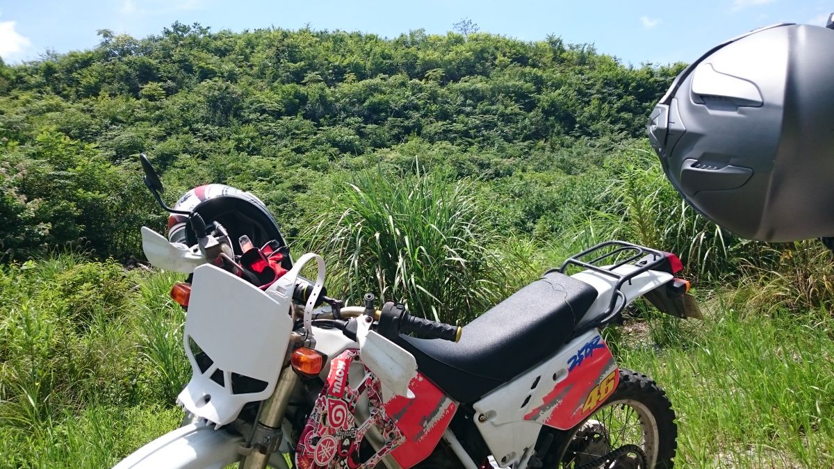 カウルが割れてるのでステッカーボムにて補修？プチカスタムをしました、⁡ ⁡思った以上に難しかった、もうやりたくない作業でした 笑 ⁡ ⁡sc57⁡⁡xr100モタード ⁡ ⁡バイク好きな人と繋がりたい ⁡ ⁡バイクのある生活 ⁡ ⁡バイクしか勝たん ⁡ ⁡ステッカー