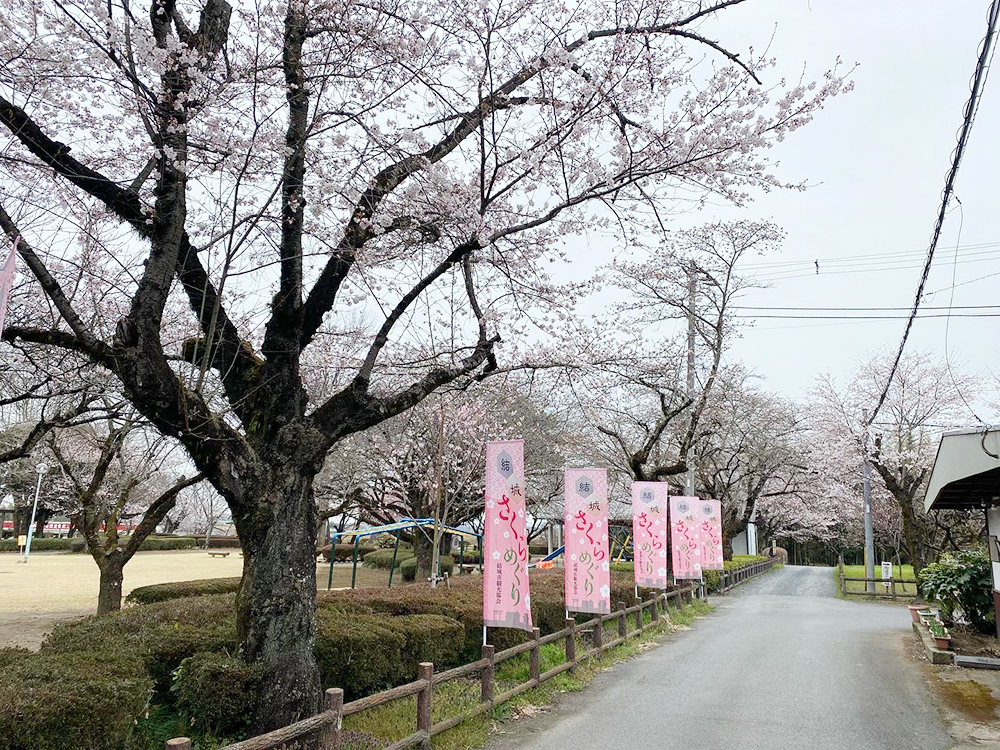 ふらりとさくらまるしぇ｜イベント掲示板｜ふらっとろーかる