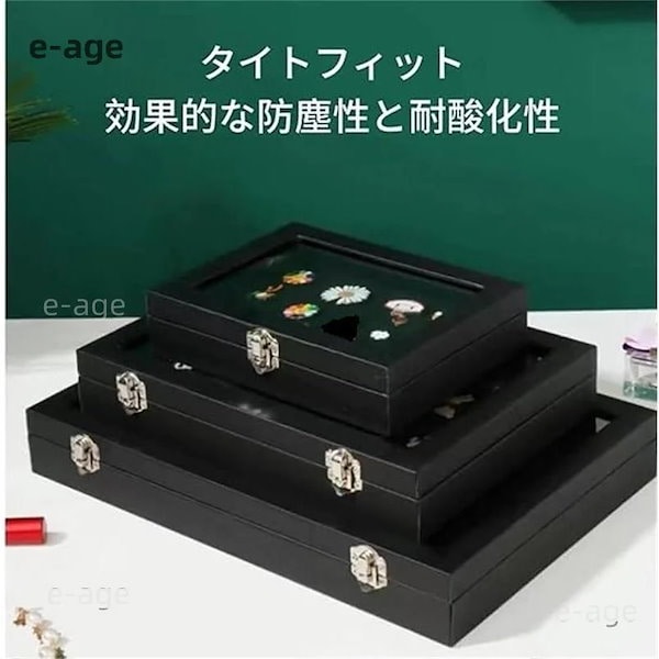 ピンバッジ収納 - えびふらい EBIFURAI