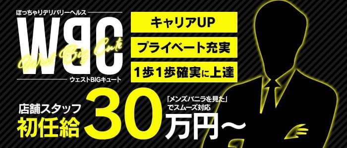 愛知｜風俗スタッフ・風俗ボーイの求人・バイト【メンズバニラ】