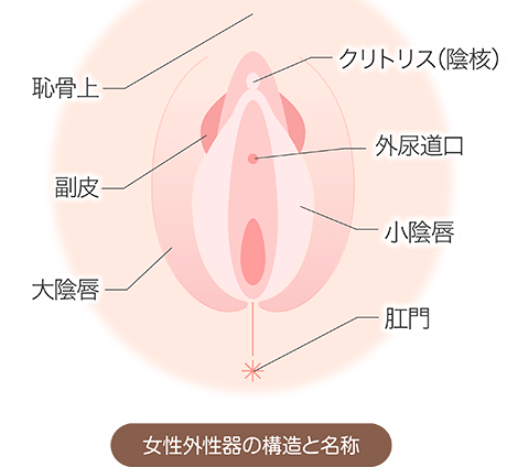 マスターベーションを理解する、9つのトピックス。 | Vogue