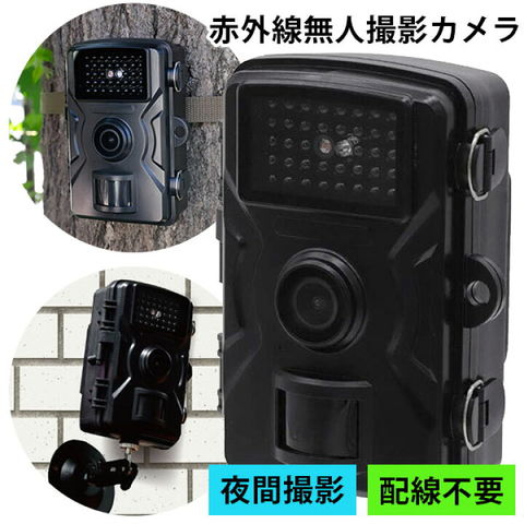 真夏に広がる雪景色!赤外線写真はこう撮る!カメラ機材・撮影方法の紹介ひとり広報