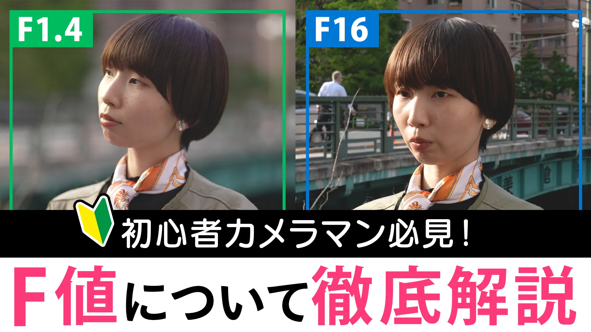F値って何？脱初心者のためのカメラの基本📷Picky's