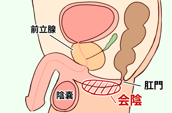 男性のマスターベーション（オナニー）の適切な方法 - TENGAヘルスケア