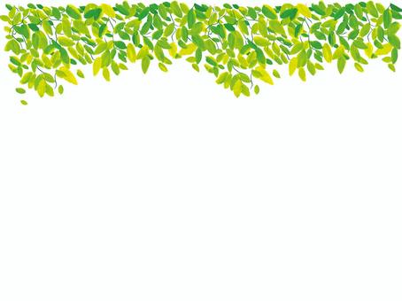 葉っぱのイラスト素材129花、植物イラスト Flode illustrationフロデイラスト