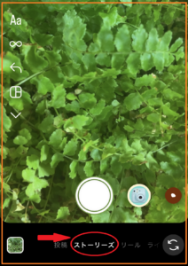 インスタストーリーズの背景色で差をつける！5つの垢抜けデザインのコツを紹介！るみる