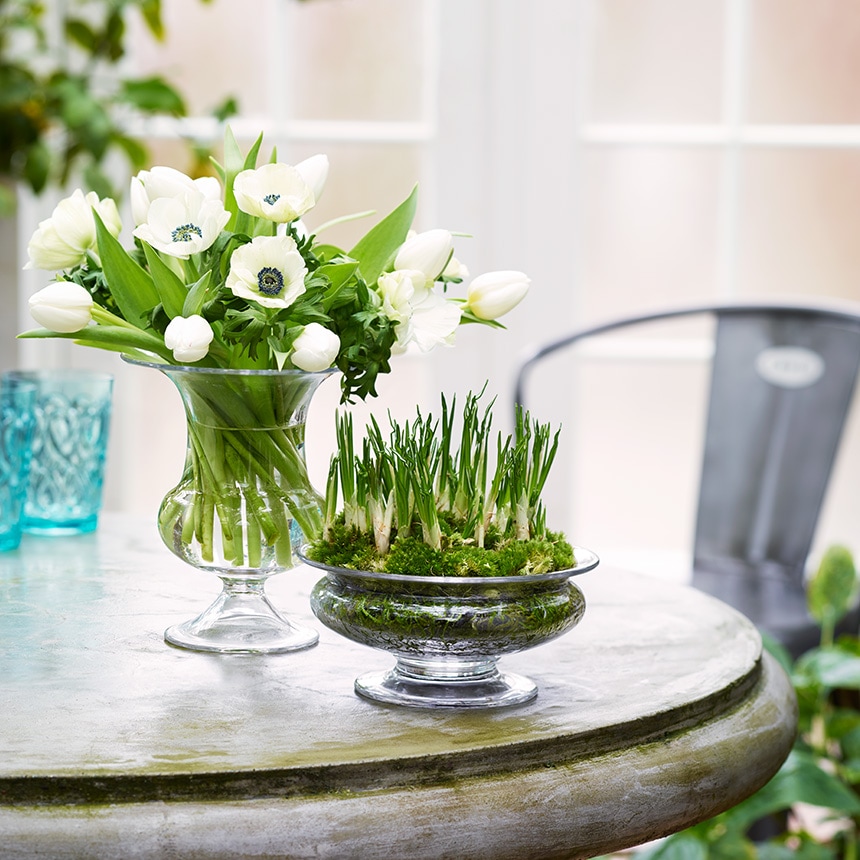 グラスと水だけでもこんなに言い方があるよ☺️🍹 最近暑い日が続いてるので毎日たくさん水飲んでます。 皆さんも水分補給は忘れずに💧TikTok