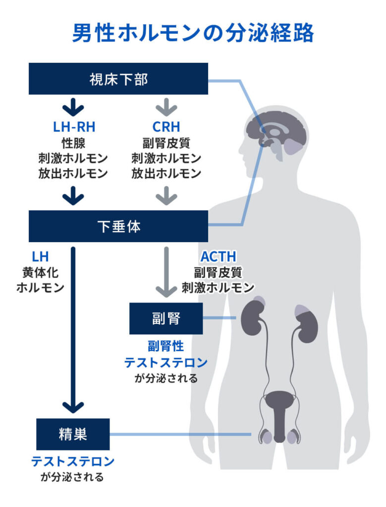 ドライオーガズムの仕組み④実践編 : 催眠オナニー・同人音声の日記 (記事コメント