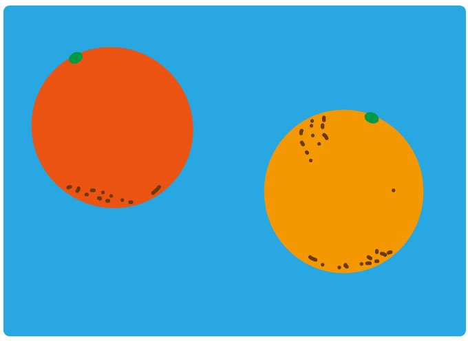 色彩理論の基礎に学ぶ、相性抜群な「色の組み合わせ」ライフハッカー・ジャパン