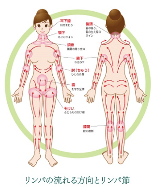 Before After(鼠径部リンパマッサージ)】＊モデルさんより撮影・掲載のご許可あり。通常の｜美容鍼灸サロン MIHARI