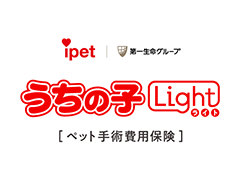 ペットショップAIS'leロゴ アイシェルターアーティチョークとノーブルブラックありますiShelter aiSUru hokkaidoアイシェルター正規取扱北海道店