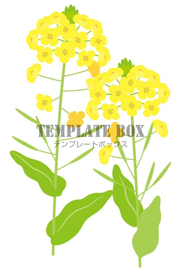 リアルな花のイラスト・フリー素材 角・コーナー用No.1476『草花・右・ピンク』