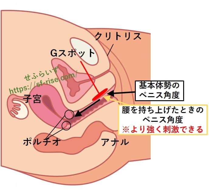 M性感系男子が喜ぶペニバンプレイ - 風俗コラム【いちごなび】