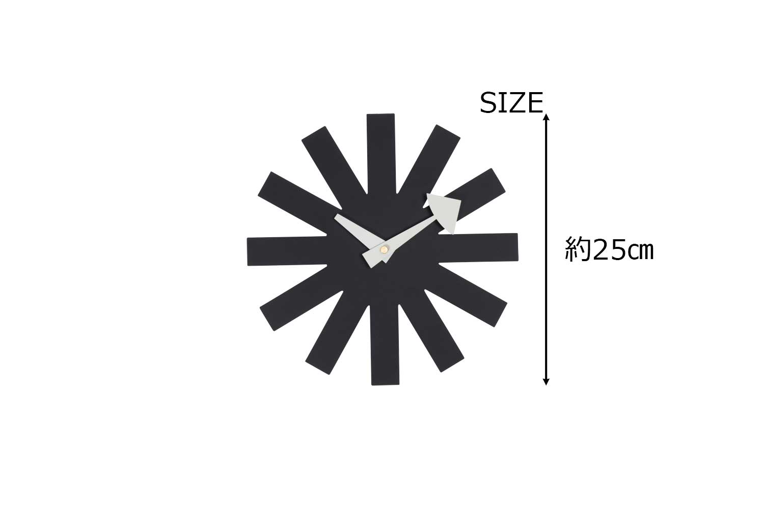 アスタリスクとダガーしじみ デザインを語るひと