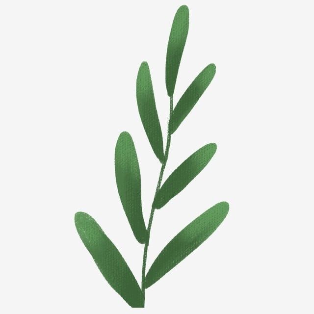 植物PSD、植物PNG、ダウンロード植物透明背景Premium PSD