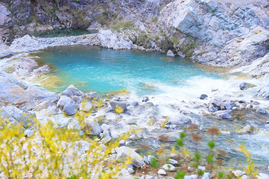 鬼怒川温泉 花の宿 松や【