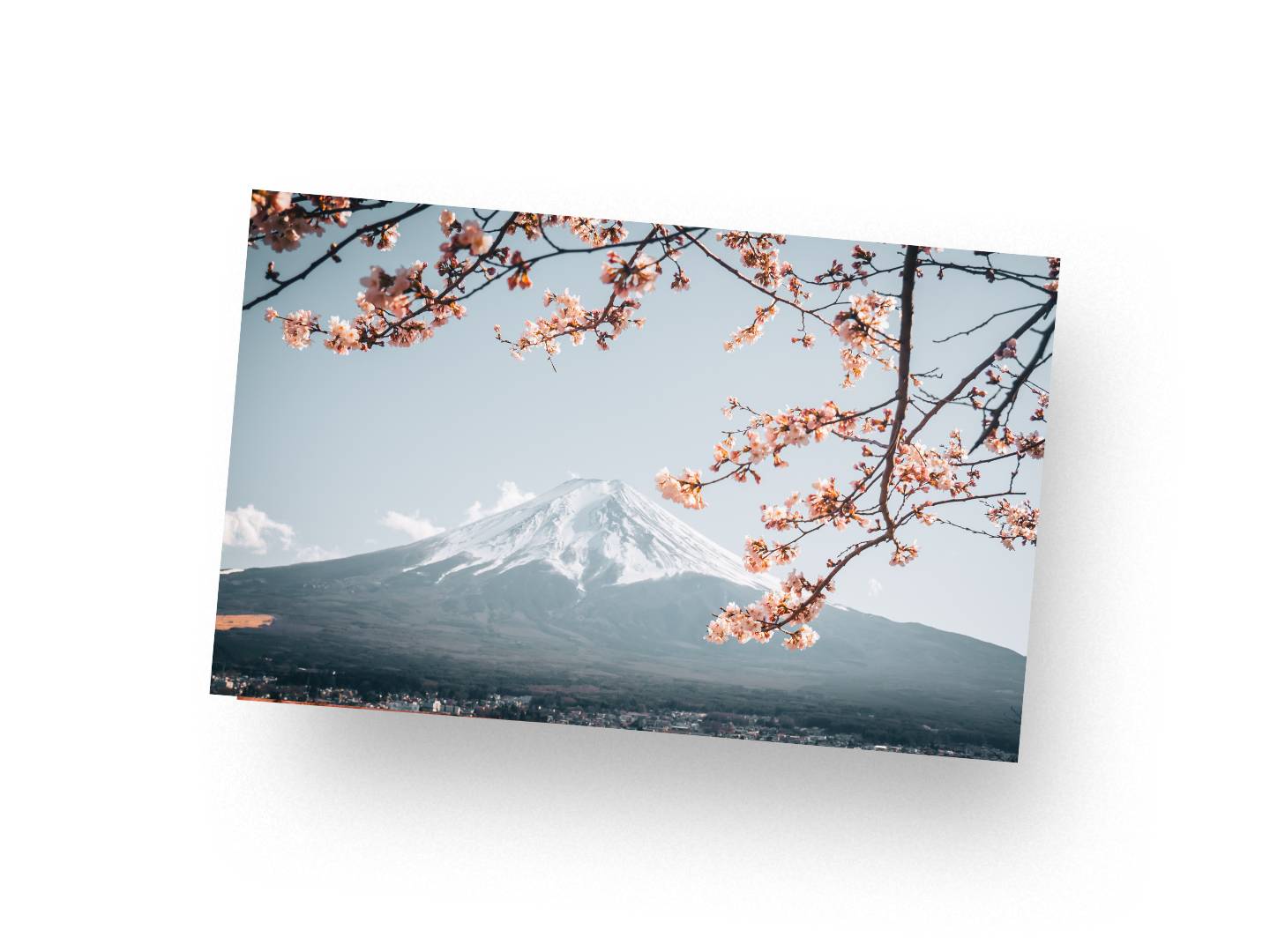 ToongineerAIで写真をイラストにするサイト