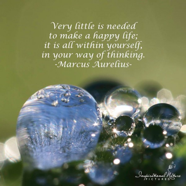 薬機法のNGワードを使っていませんか？違反にならない言い換え表現を紹介！ - 薬事法広告研究所