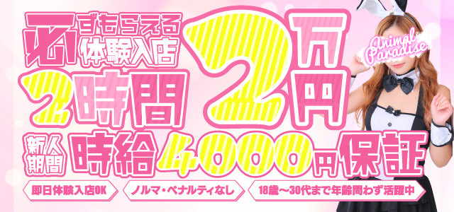 池袋・新宿】水商売・風俗勤務の方の賃貸情報 | 姫なび賃貸