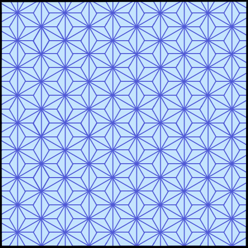 複眼のタイルパターンを決定する幾何学メカニズムの解明 – 北海道大学 大学院理学研究院