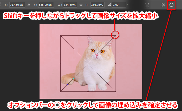 保存版 絶対残業したくない！Photoshopのアクションで仕事効率化する方法まとめ - studio9