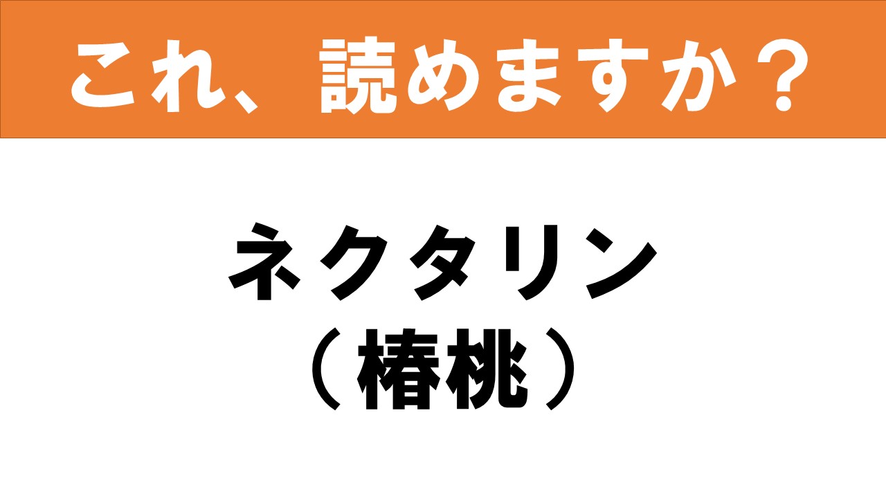 椿【桃雀・ももすずめ】小さなお花が咲いています♪ | 椿心