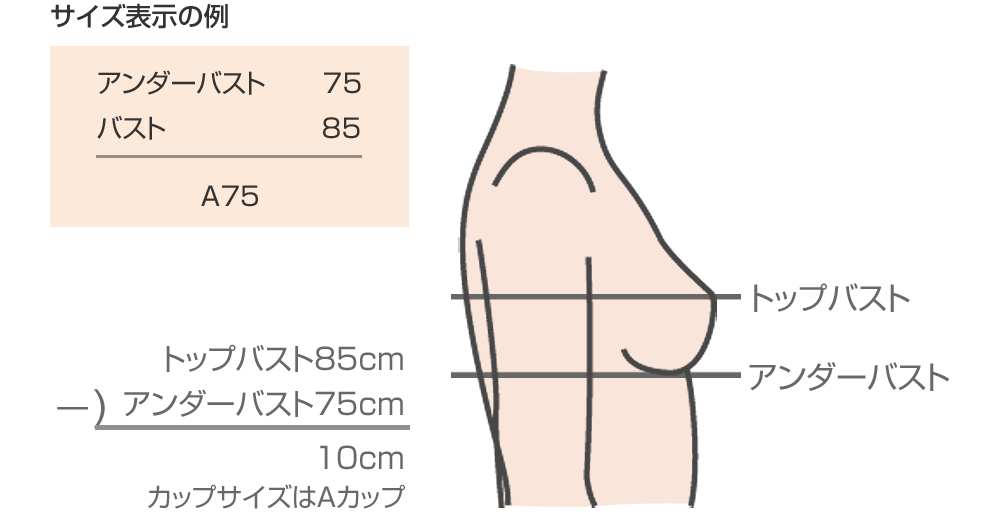 Amazon.co.jp: おっぱい 1000mm Iカップ/結城ちか BD