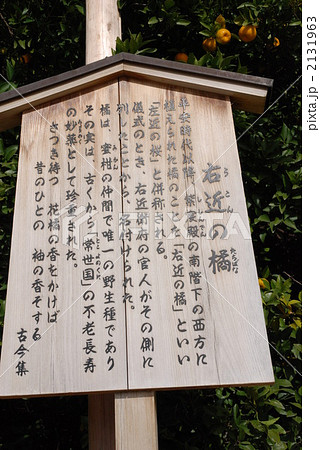 右近の橘 - 京都御所