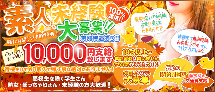 東京都の金髪外人風俗ランキング｜駅ちか！人気ランキング