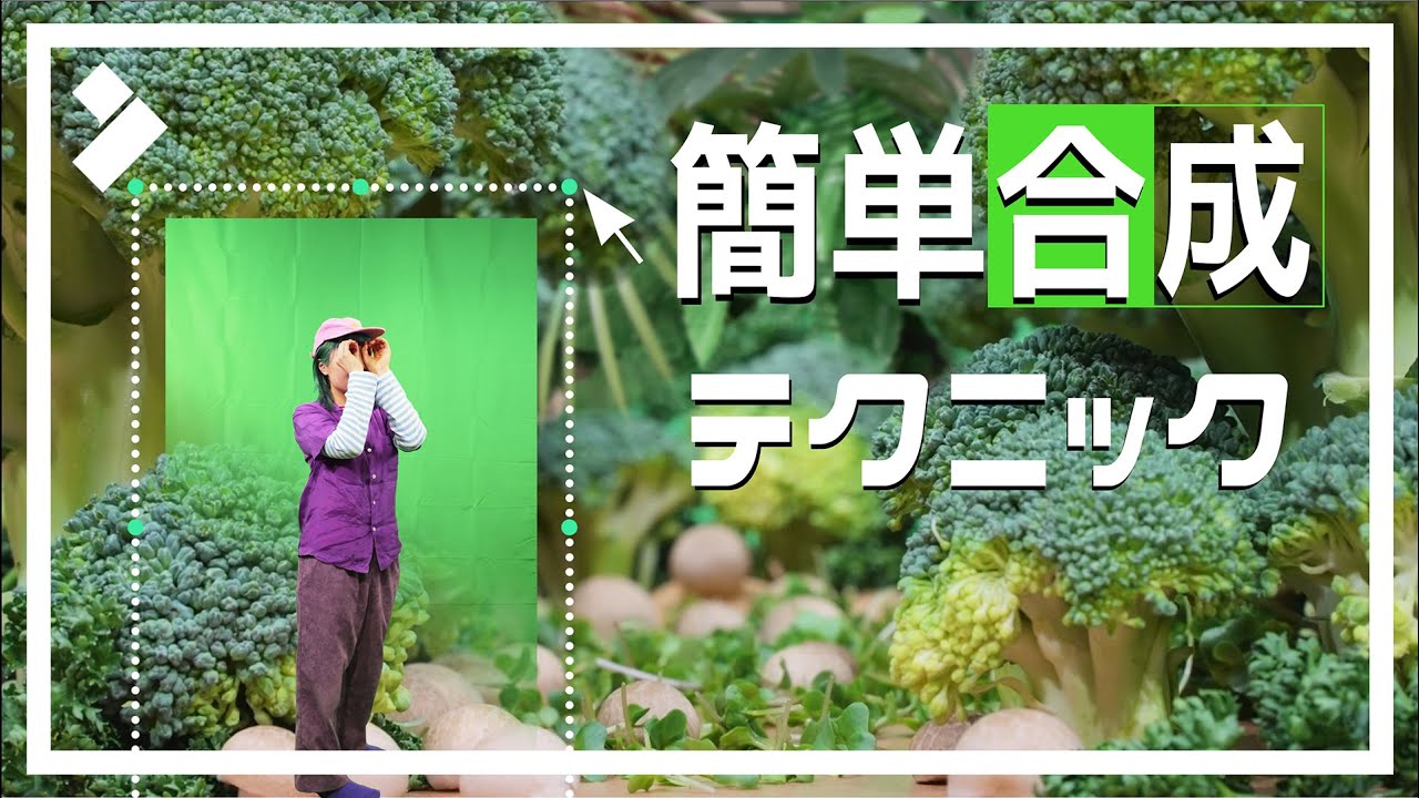 新緑、背景、緑、葉、自然、風景、ぼかし、植物、木漏れ日、新緑イメージ、背景合成用画像素材の写真素材96467666- PIXTA