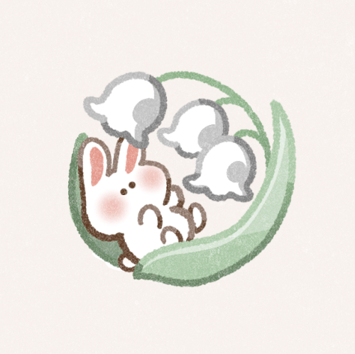 スズランの写真素材写真素材なら「写真AC」無料 フリー ダウンロードOK