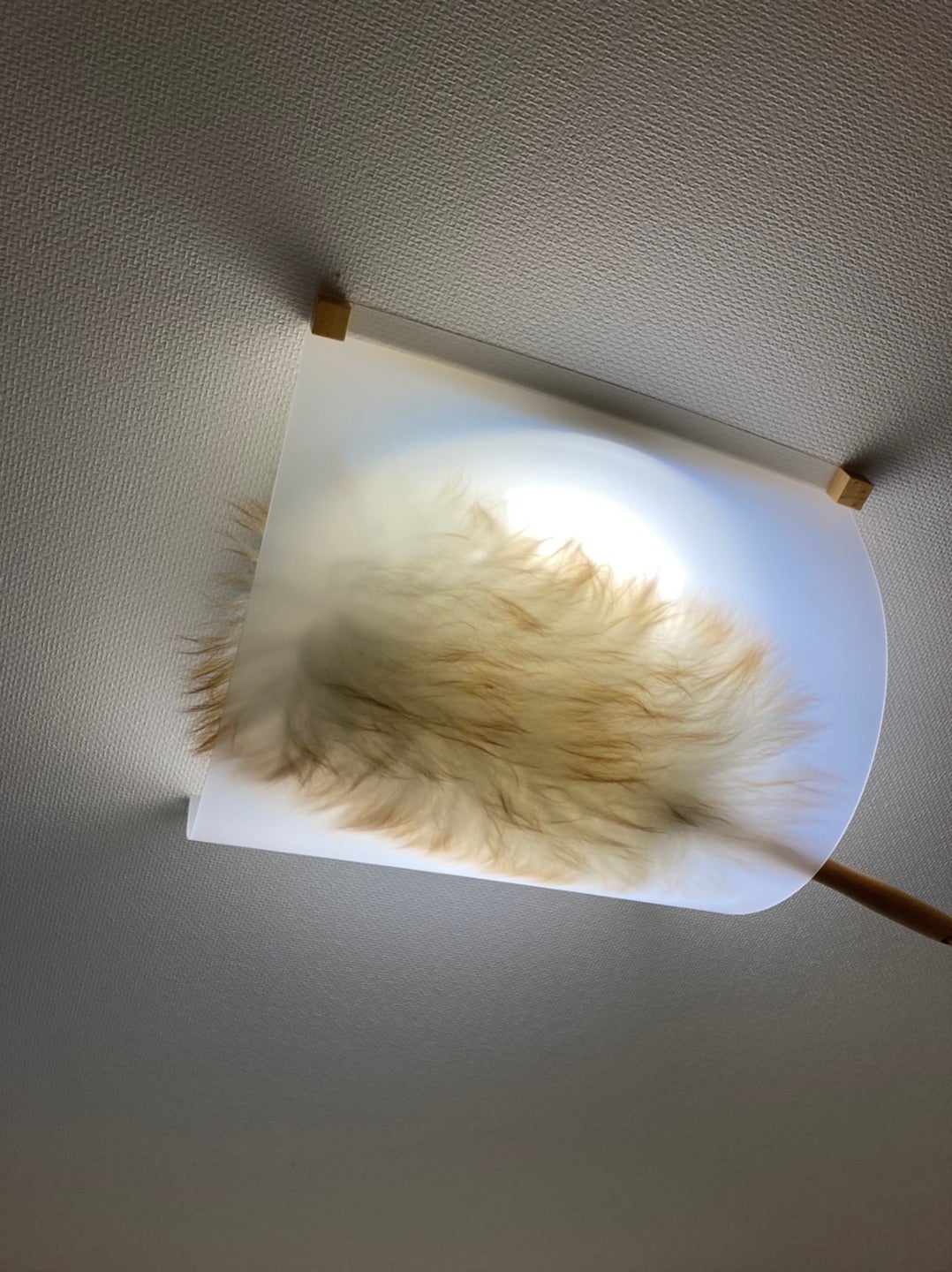 シーリング照明 カバー デコレーション Spring リメイク DIY シーリングライト・ペンダントライト himeree 通販12027557Creema クリーマ