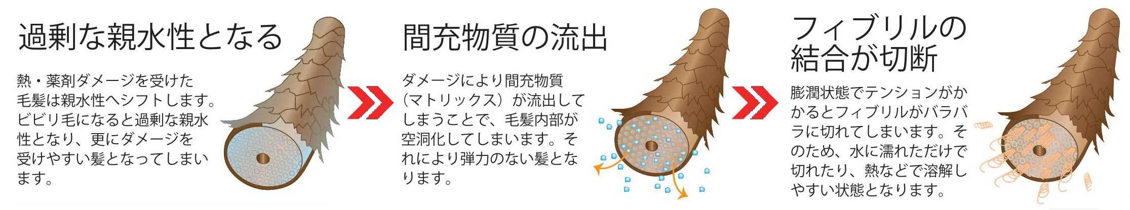 デザインフリーリバース_02