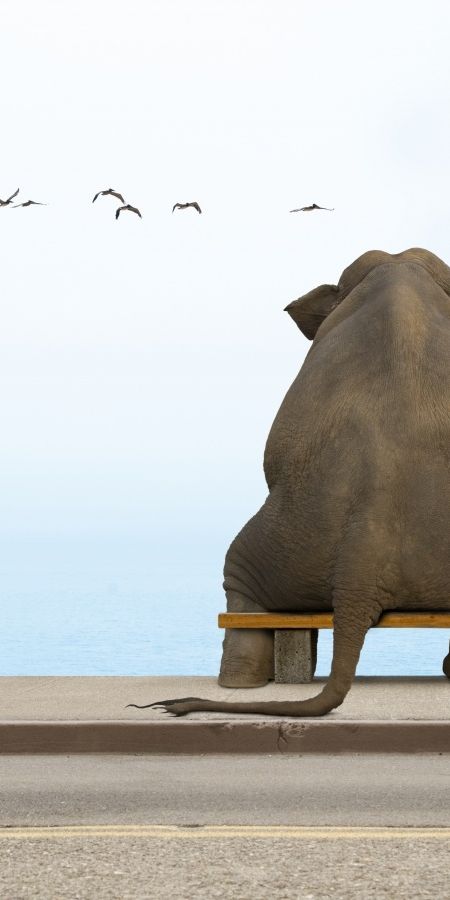 おもしろい 壁紙イラスト・フリー素材なら「シンテリ」