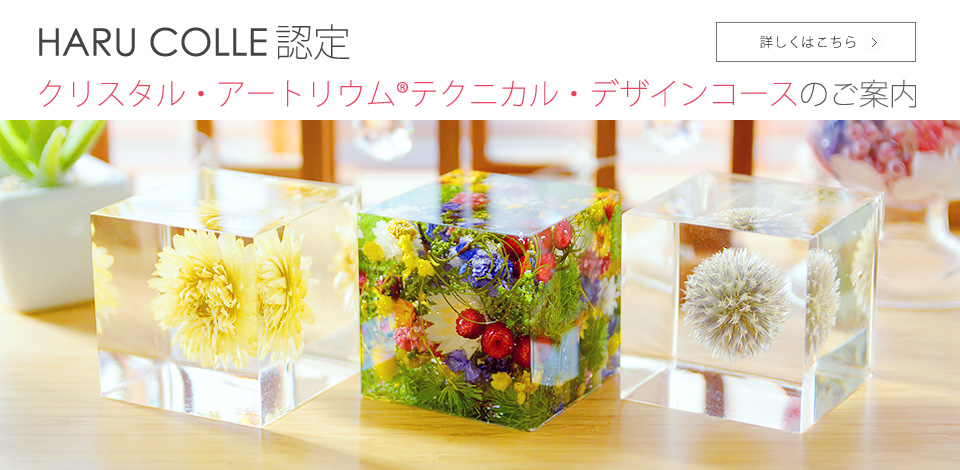 透明袋を生かした透け感のあるラベルデザイン制作事例EDM イーデーエム 株式会社のラベル制作専用サイト