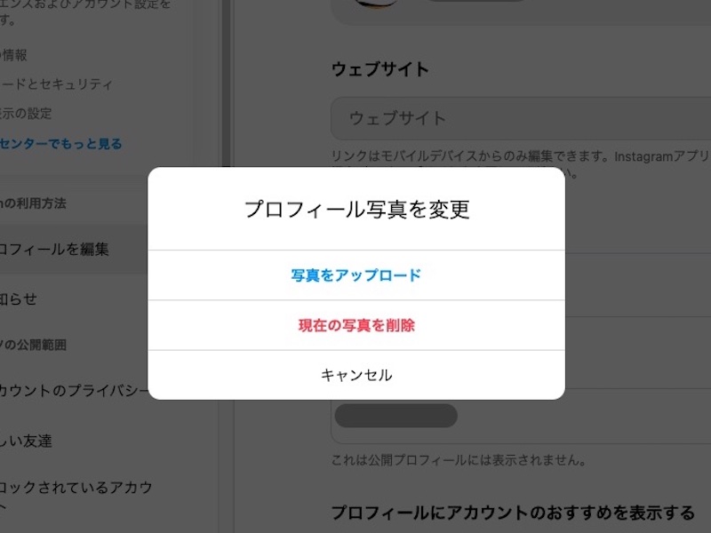 すぐに使える！🖤初期アイコン〜 初期アイコンのアレンジって 可愛いよね🩷 この投稿を保存して参考にしてね🥰 ⁡▶︎ PEEPS のアカウントで掲載する素敵な写真を募集中💜 ▶︎ @peeps.mag か 『ピープス女子 』でタグ付けからご紹介しています