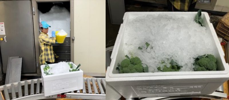 ブロッキープライベート庭空間を実現する目隠し塀@blocky.ig• Instagram photos and videos