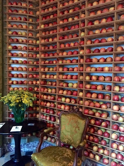 北丸雄二💙💛❤️🖤🤍💚 on X: