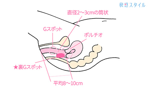 ディルドアナルオナニーしてて、ウンチが漏れ出して行く様と絶頂する女をご覧ください | 女糞.com -女のうんこスカトロ動画-