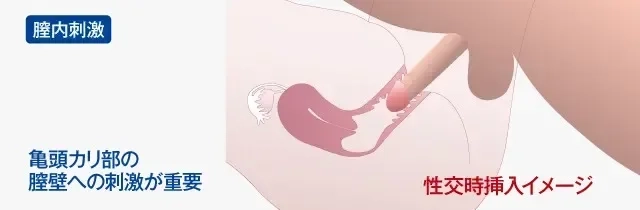 性生活に必要なモノ 生のペニスを膣にヌルヌル出し入れさせてセックスしよう