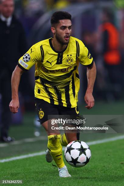 ヤン・コウトゲキサカ