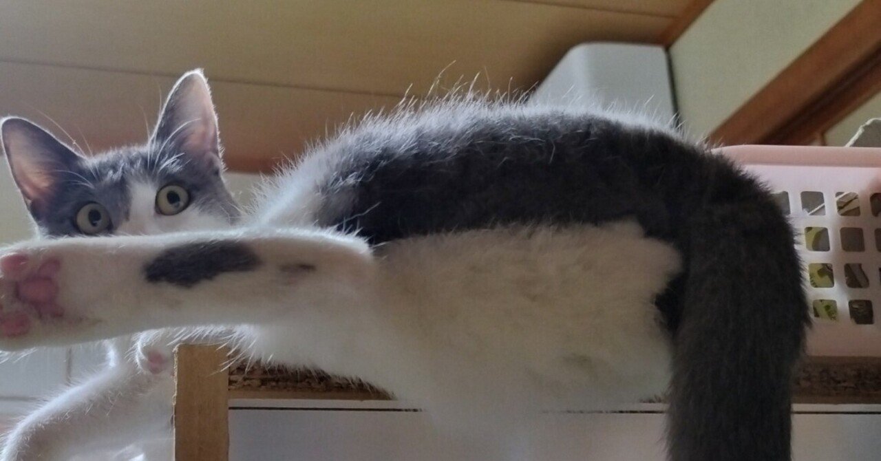 ワロタ」の意味とは？使い方や例文、元ネタや使う人の特徴もTRANS.Biz