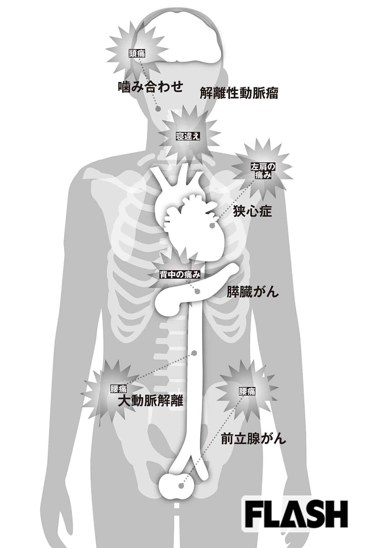 蒼井 ちほ | 前立腺マッサージ｜第一のチャクラ東京店